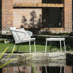 Todus - Sdraio condor