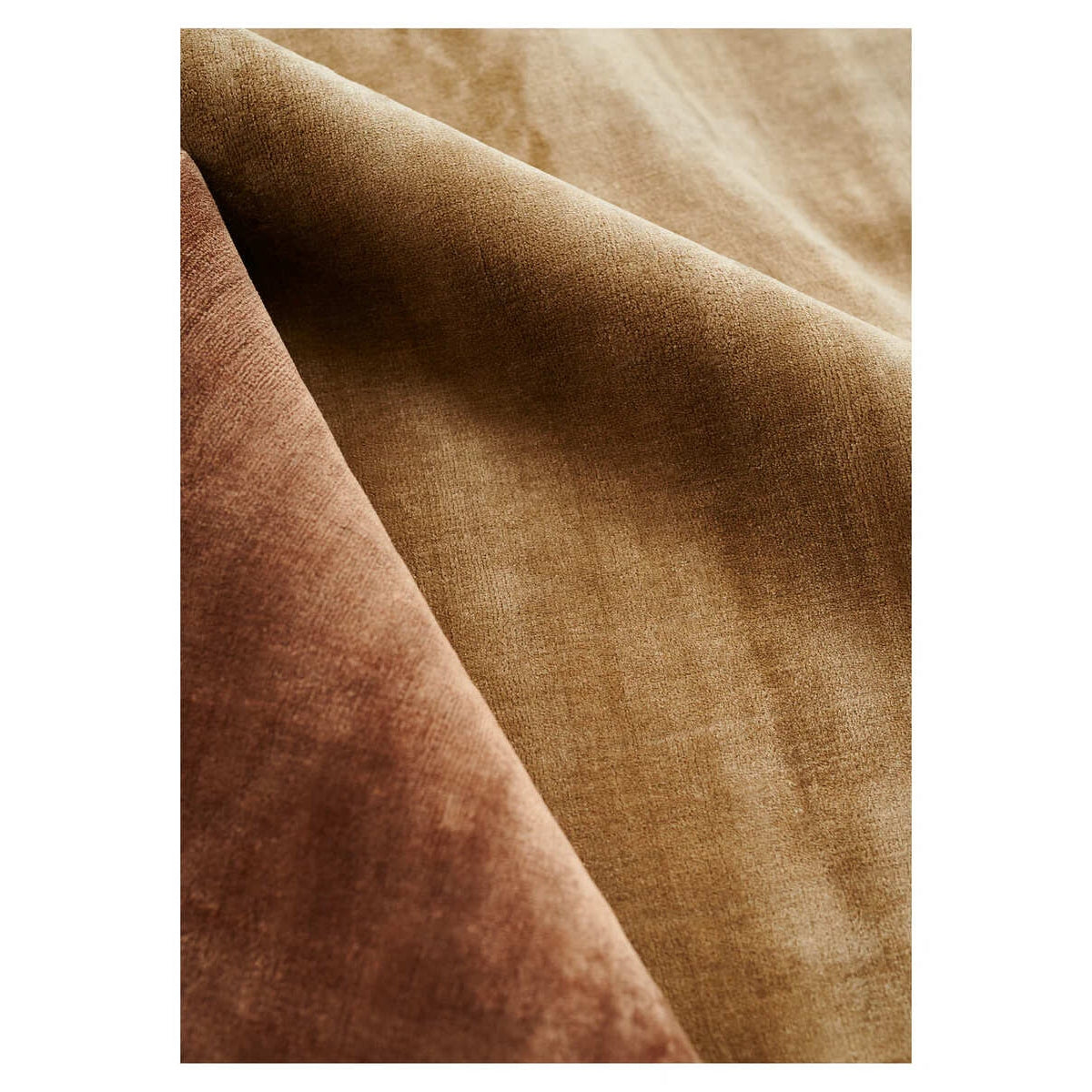 Conception de lignes - LUCENS Carpet Amber
