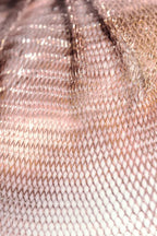 Bocci - 84.3 Vloerlamp