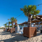   - Adezz - York Pflanzkübel Cortenstahl                              