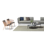 Todus - Sdraio condor