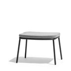 Todus - Sdraio condor