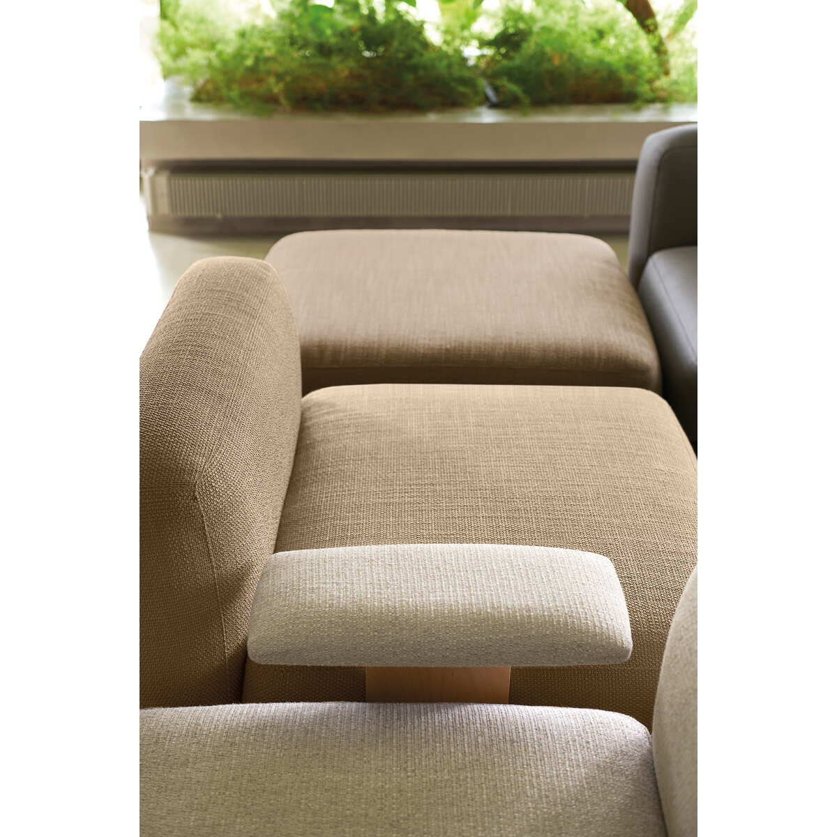 Quinti Sedute - Honderd Modulaire Bank.