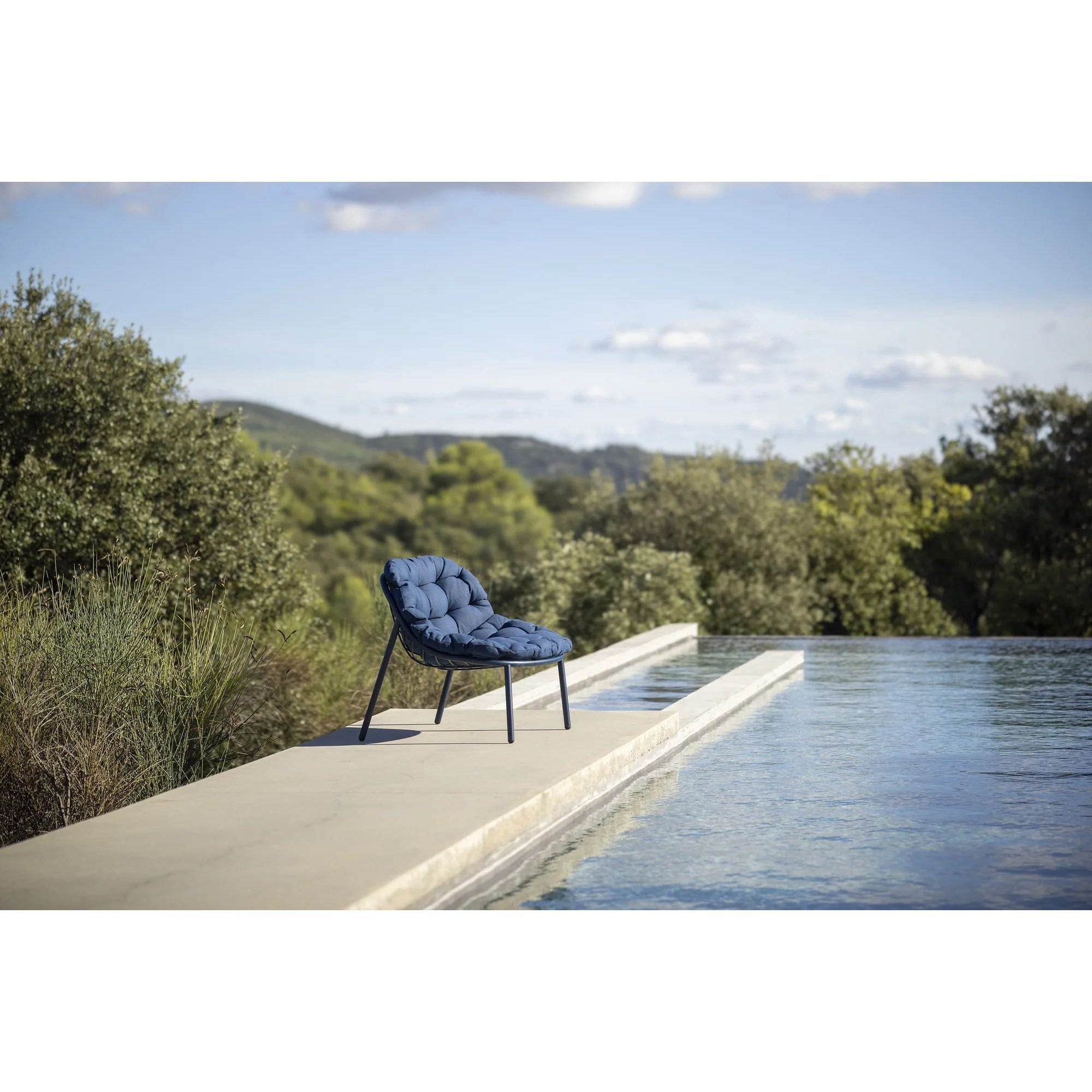 Todus - Albus Basso da Poltrona