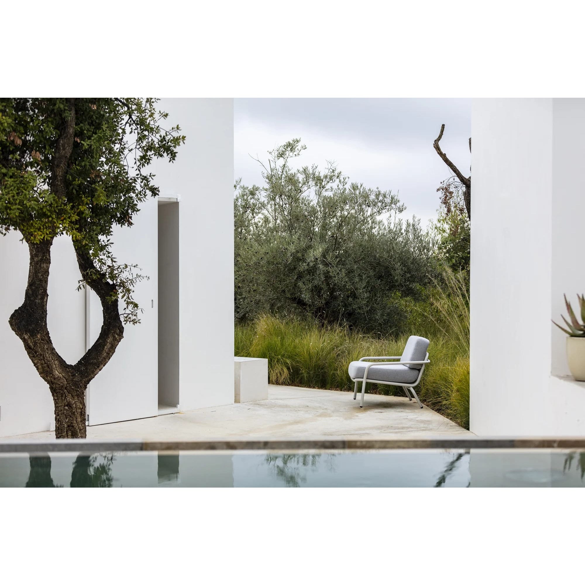 Todus - Fauteuil Starling