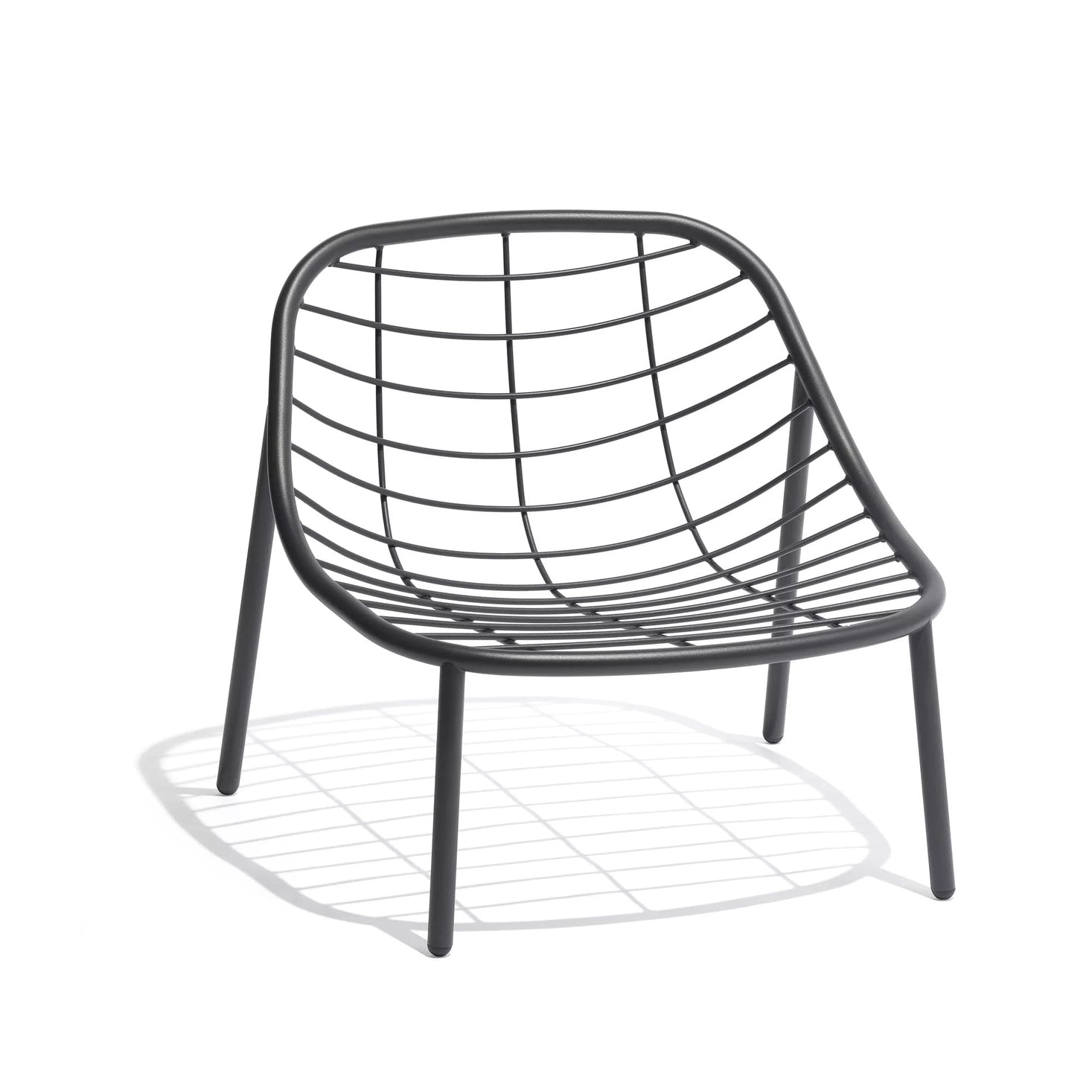 Todus - Albus Basso da Poltrona