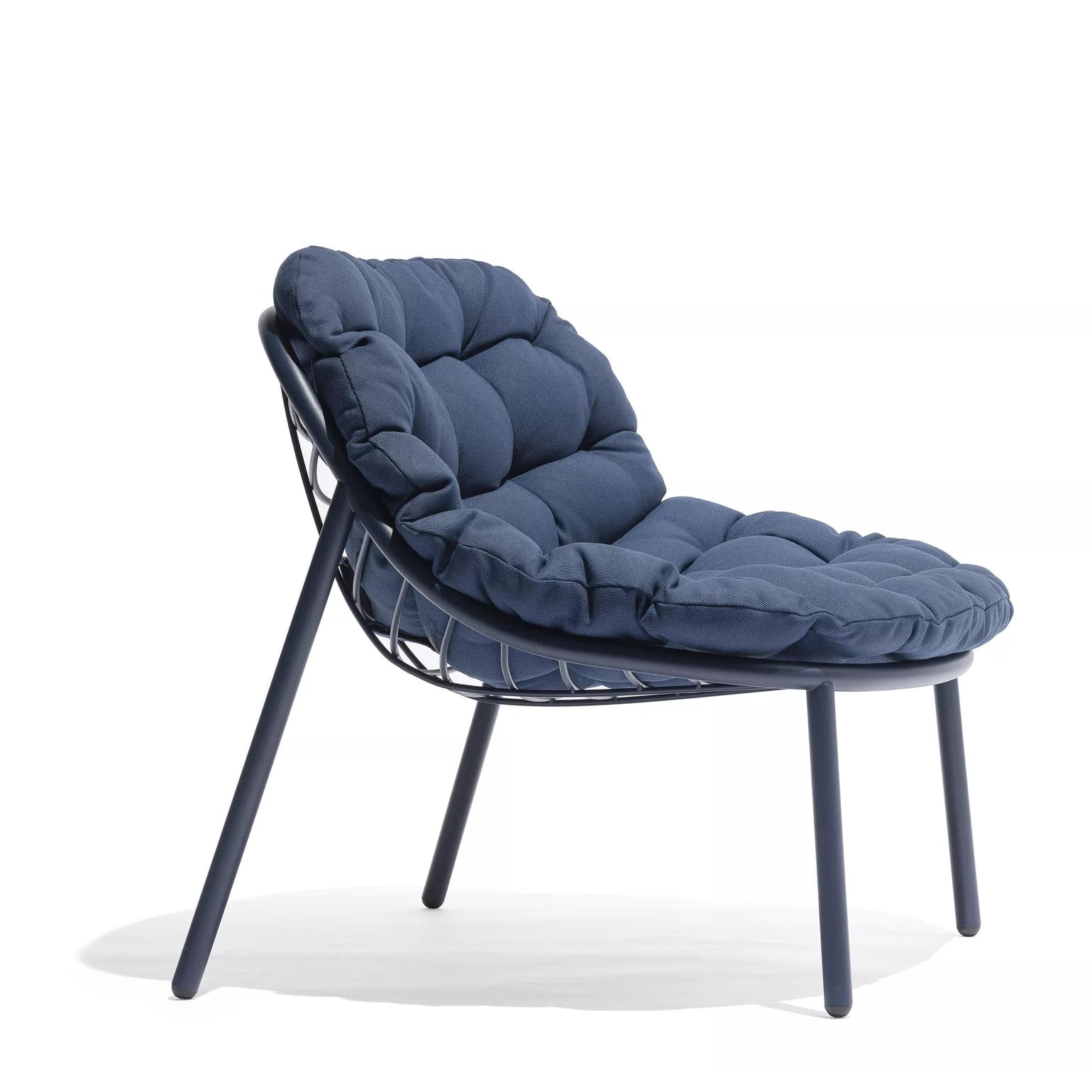 Todus - Albus Basso da Poltrona