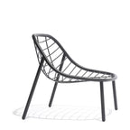 Todus - Albus Basso da Poltrona