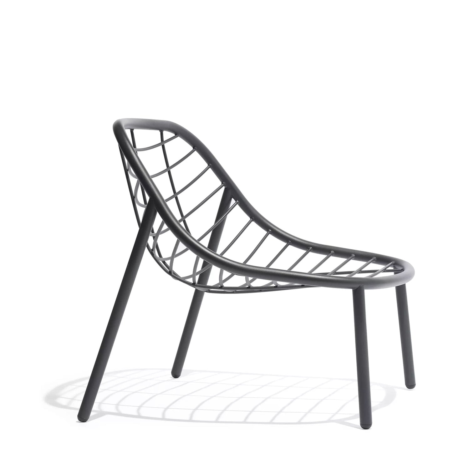 Todus - Albus Basso da Poltrona