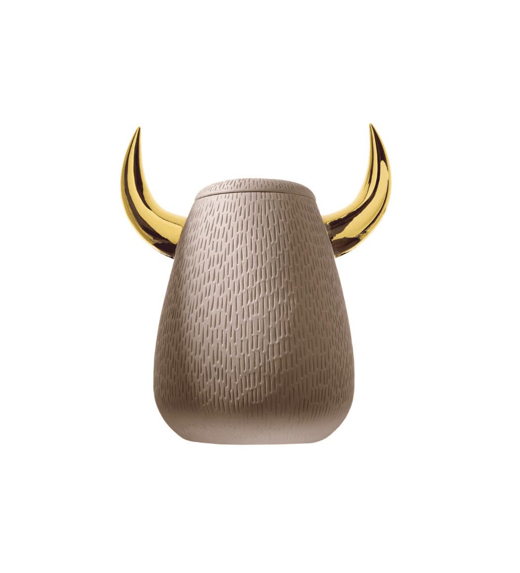 Bosa - Contenedor Animalità Toro